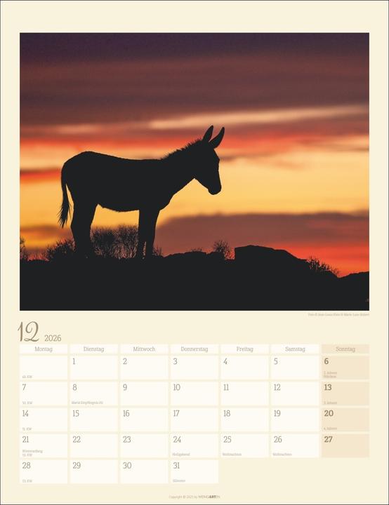 Produktbild Esel Kalender 2026 (30 x 39 cm, Deutsch)