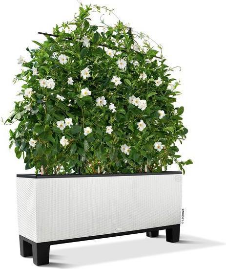 Actual product image Lechuza Trio Cottage 30 Plinth (30 cm)