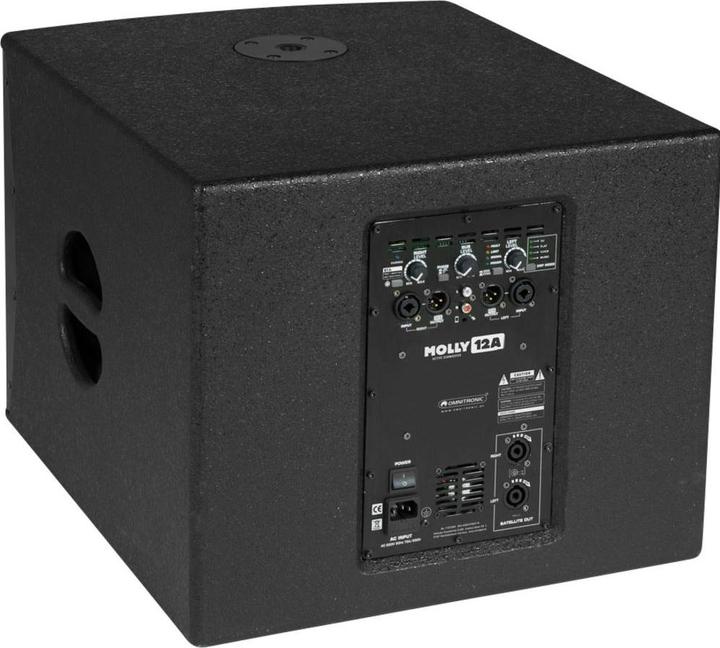 Actual product image Omnitronic Molly-12A Active PA Subwoofer 30.48 cm 30.50cm (12") 700 W 1 pc. (Active, 1x 700 W)