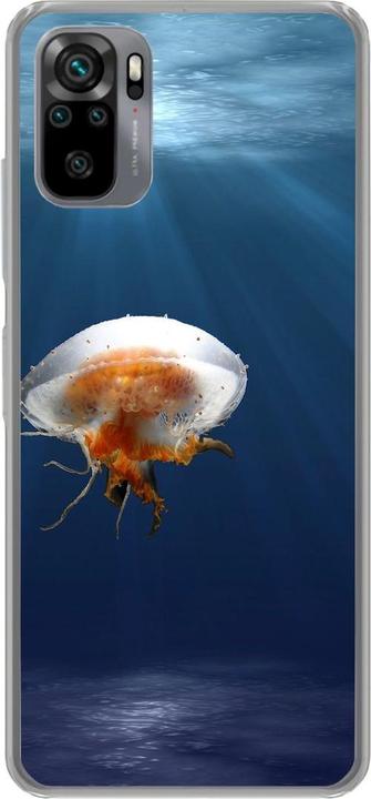 Jellyfish