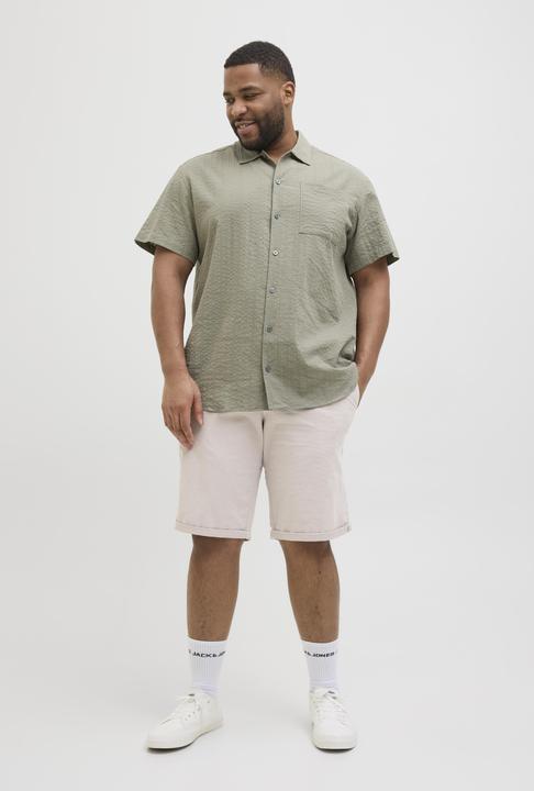Actual product image Jack & Jones Plus Size Regular Fit Slim Fit Shorts Slim Fit Shorts (46)