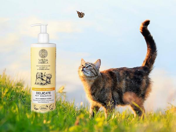 Actual product image Wilda Siberica DELICATE shampoo, 5 l (5000 ml, Liquid shampoo)
