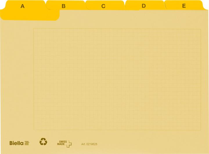 Biella Cartes guides (A7, 450 g/m², 25 x)