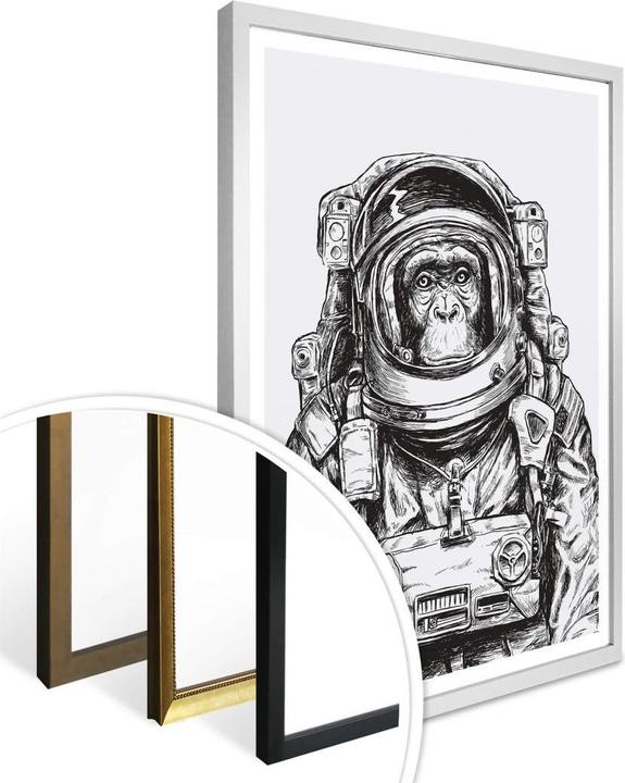Actual product image Trenddeko Space Monkey (50 x 60 cm)