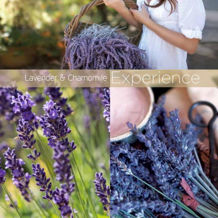 Produktbild Cuccio Cuticle Revitalizing Oil - Lavender & Chamomile