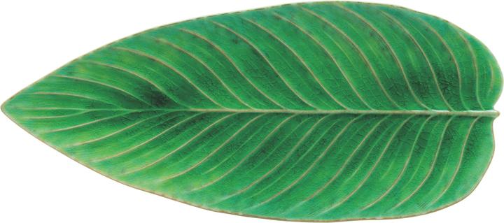 Actual product image Costa Nova Riviera (1 x, 17.20 cm)
