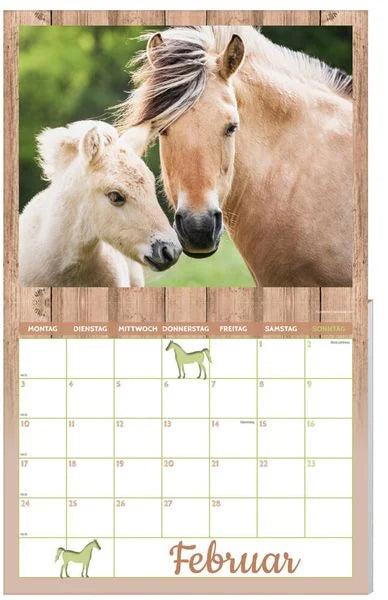 Actual product image Horse calendar pack 2025, 9 pieces (German)