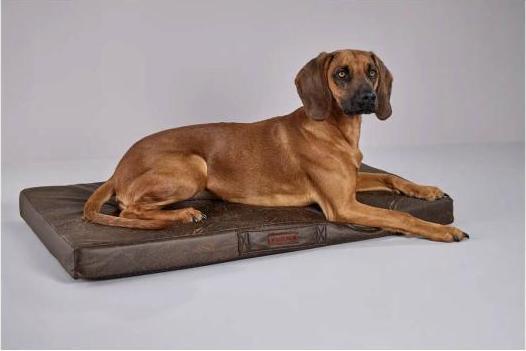 Image du produit Wolters Vintage (Chien)
