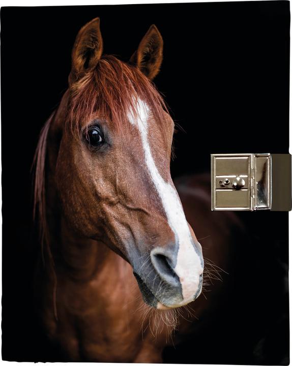 Actual product image Eibert Visual Horse (160 x 190 mm, Plain, Hardcover)
