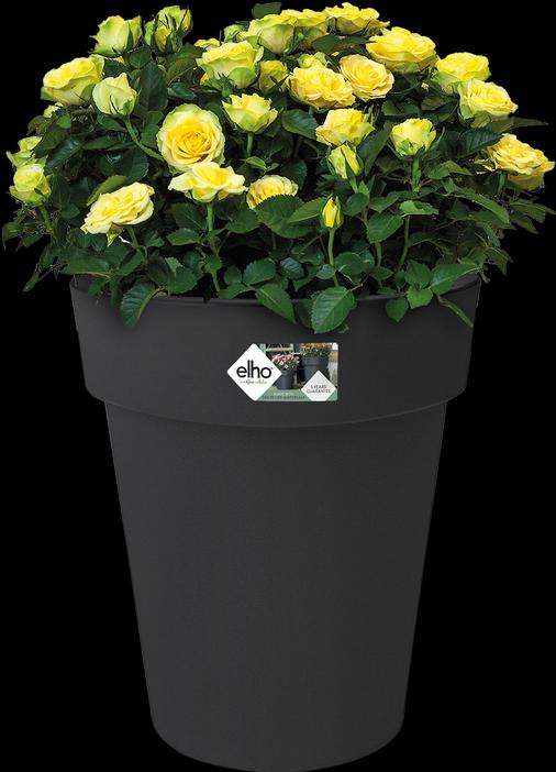 Produktbild Elho Green Basics Top Planter Hoch (34.60 cm)