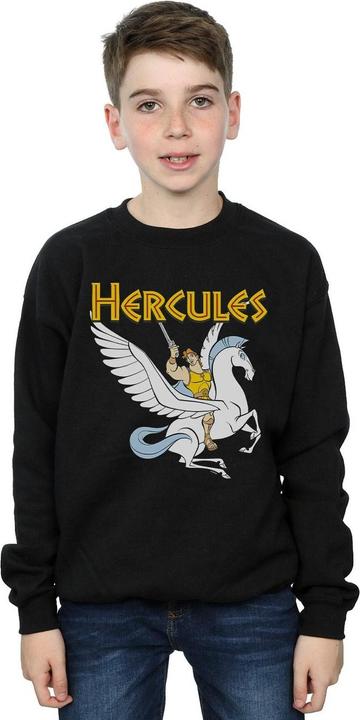 Image du produit Disney - Sweat HERCULES WITH PEGASUS - Garçon (152, 158)
