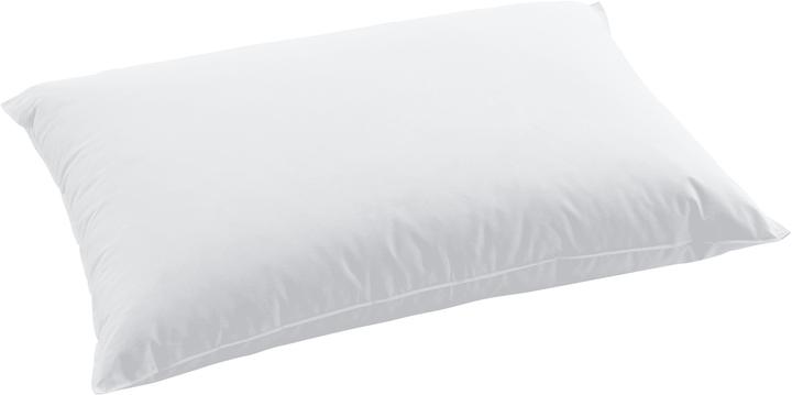 Produktbild Swiss Dream by billerbeck Pillow Classic 90 (50 x 70 cm)