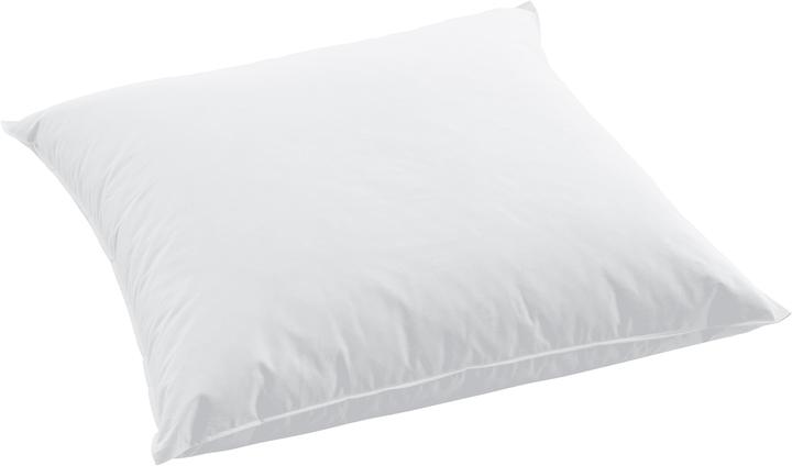Immagine prodotto Swiss Dream by billerbeck Cuscino CLC 90 (65 x 65 cm)