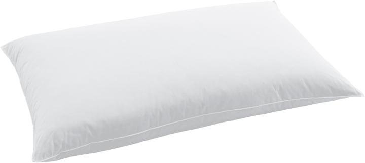 Produktbild Swiss Dream by billerbeck Pillow Classic 90 (65 x 100 cm)