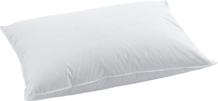 Swiss Dream by billerbeck BSC 80 Soft (50 x 70 cm)