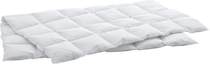 Produktbild Swiss Dream by billerbeck Caro (940 g, 200 x 210 cm)