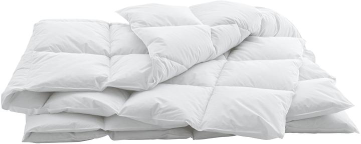 Produktbild Swiss Dream by billerbeck Caro (940 g, 200 x 210 cm)