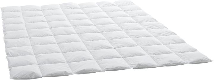 Image du produit Swiss Dream by billerbeck Caro Classic 90 (770 g, 240 x 240 cm)