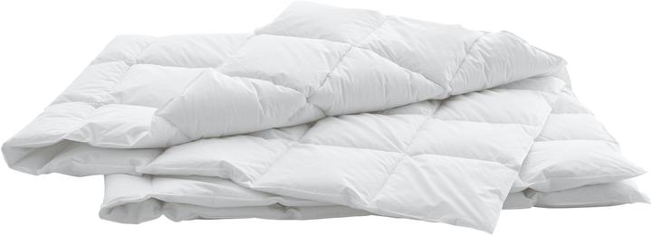 Image du produit Swiss Dream by billerbeck Caro Classic 90 (770 g, 240 x 240 cm)
