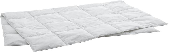 Produktbild Swiss Dream by billerbeck Caro (700 g, 160 x 210 cm)