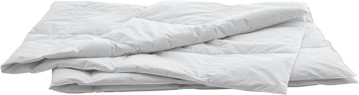 Produktbild Swiss Dream by billerbeck Caro (700 g, 160 x 210 cm)