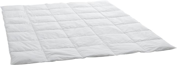 Swiss Dream by billerbeck Caro (700 g, 160 x 210 cm)