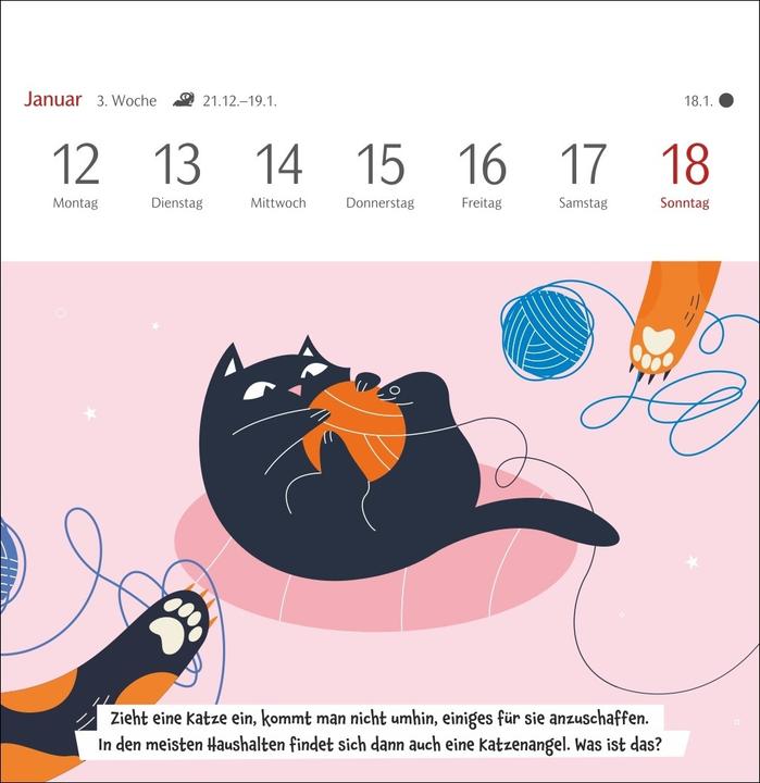 Actual product image Harenberg Unnützes-Wissen-Quiz Katzen Premium-Postkartenkalender - Kalender mit 53 Rätselkarten (German)