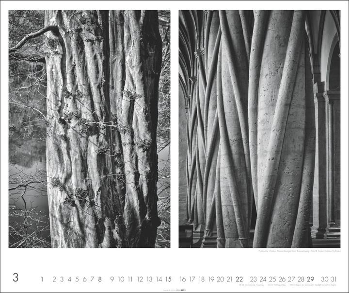Image du produit Natur : Architektur Kalender 2026 (55 x 46 cm, Allemand)