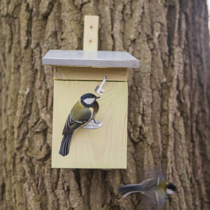 Actual product image Westfalia Great Tit Nest Box