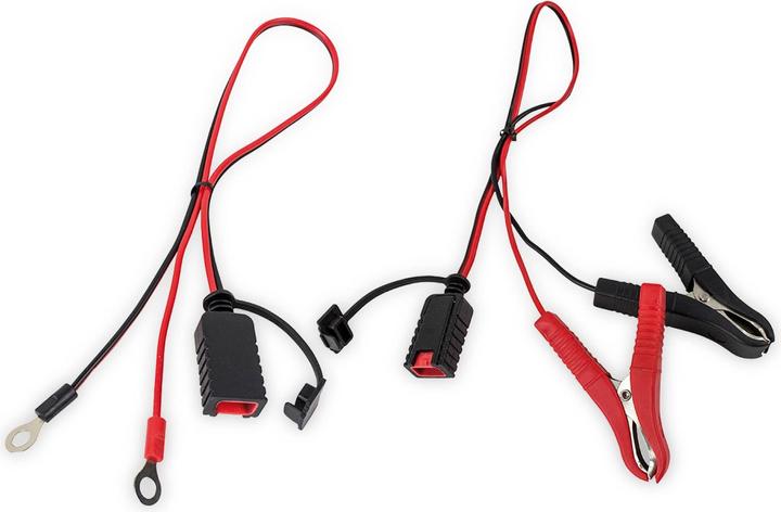 Produktbild ProUser MikroprozessorLadegerättooth5A (12V, 24V, 7.50 A)