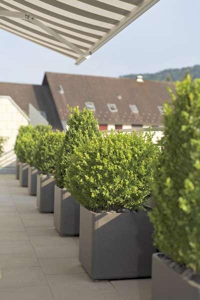 Produktbild Eternit Delta (45 cm)