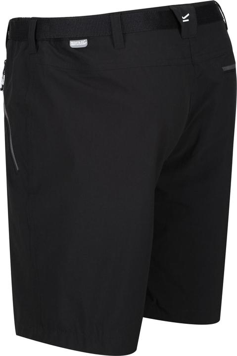 Actual product image Regatta Mens Xert III Stretch Shorts (56)