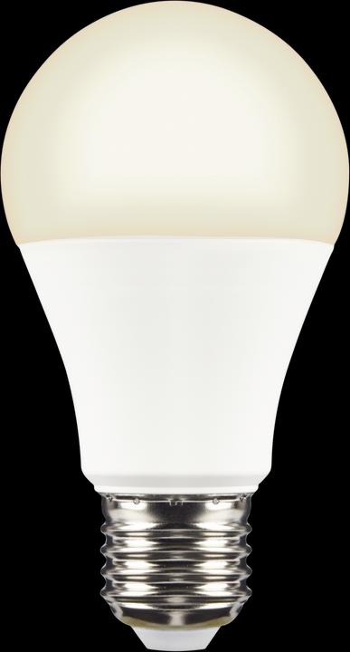 Image du produit Xlayer Ampoule intelligente echo e27 (E27, 9 W, 800 lm, 1 x, F)