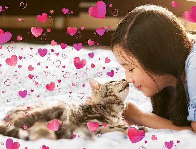 Immagine prodotto Adobe Photoshop & Premiere Elements 2020 (1 Utente)