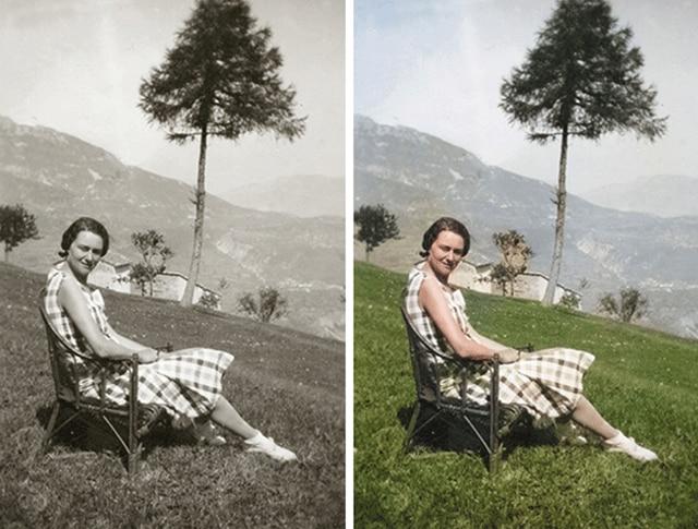 Immagine prodotto Adobe Photoshop & Premiere Elements 2020 (1 Utente)