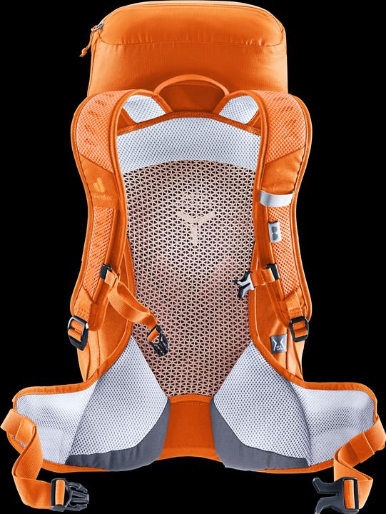 Actual product image Deuter AC Lite 22 (22 l)