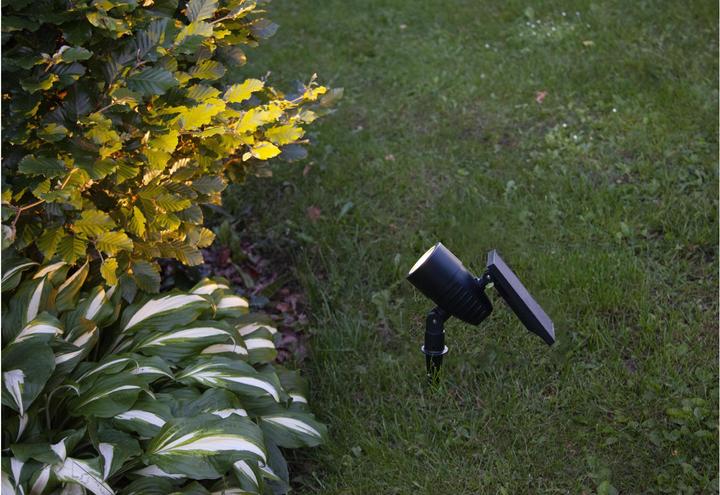 Actual product image Star Trading Solar Powerspot (50 lm, IP44)