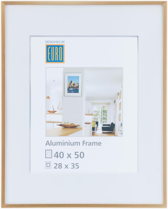 Image du produit Euro Alurahmen AL1 (40 x 50 cm)