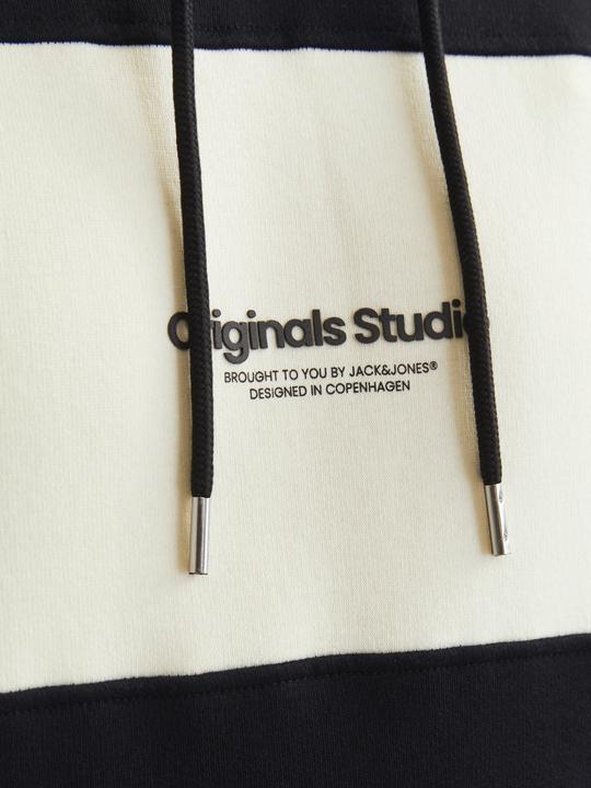 Actual product image Jack & Jones Jorvesterbro Block Sweat Hood Styd Aw24 (M)