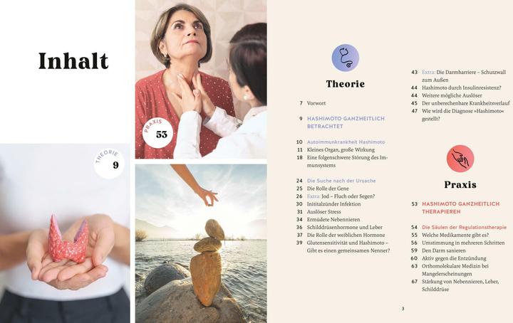 Produktbild Hashimoto ganzheitlich behandeln (Deutsch, Nicole Schaenzler, Markus Breitenberger, 2024)