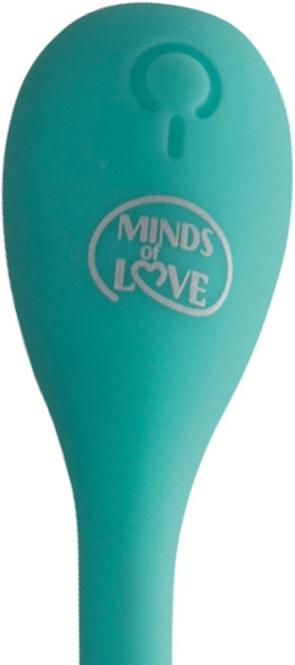 Actual product image Minds of Love Groove Duo