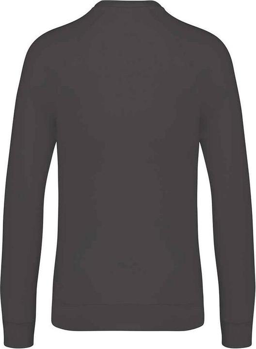 Actual product image Native Spirit Unisex Adult Raglan Sweatshirt (XS)
