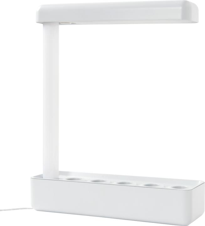 Actual product image Airam Herby -kasvivalaisin, /840, 650 lm, valkoinen (650 lm)