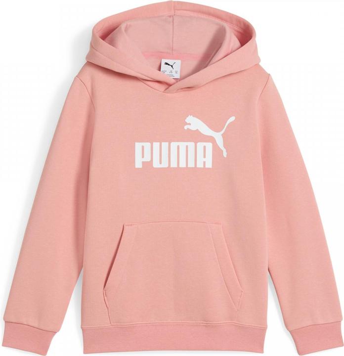 Actual product image Puma ESS No. 1 Logo Hoodie FL PS (104)