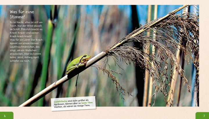 Produktbild Meine grosse Tierbibliothek: Der Frosch (Deutsch, Paul Starosta, 2020)
