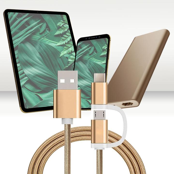 Produktbild Reekin Ladekabel 2in1 USB Micro & Type C (1 m, USB 2.0, 4 W)