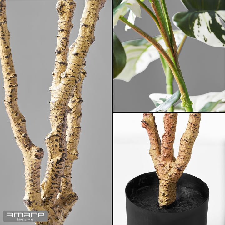 Produktbild Amare Dekopflanze Monstera deliciosa Variegata (110 cm)