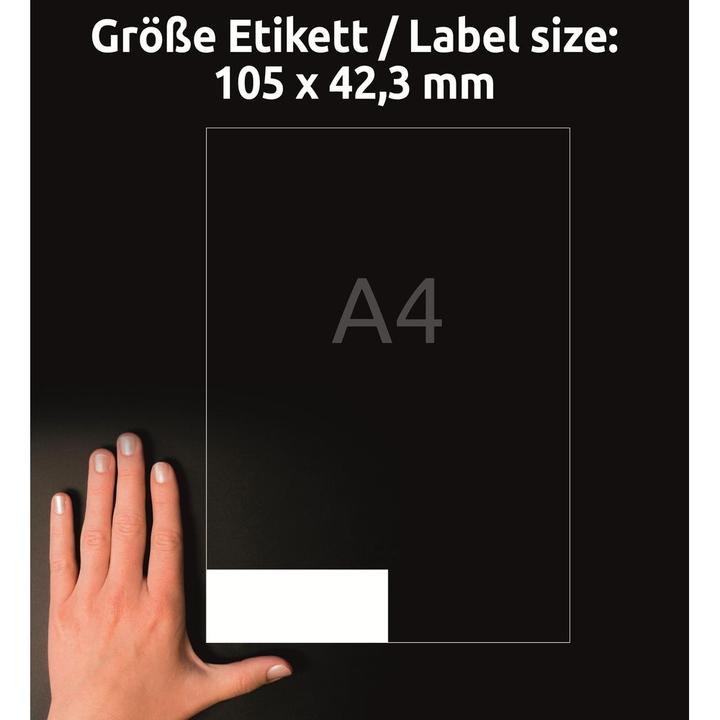 Actual product image Avery Universal labels