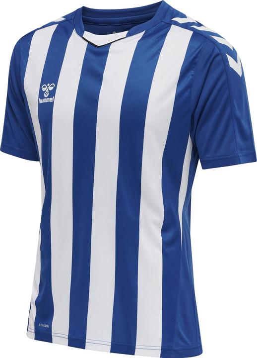truebluewhite