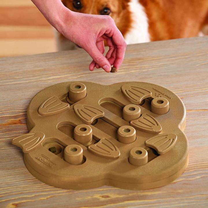 Produktbild Nina Ottosson Dog Hide N' Slide